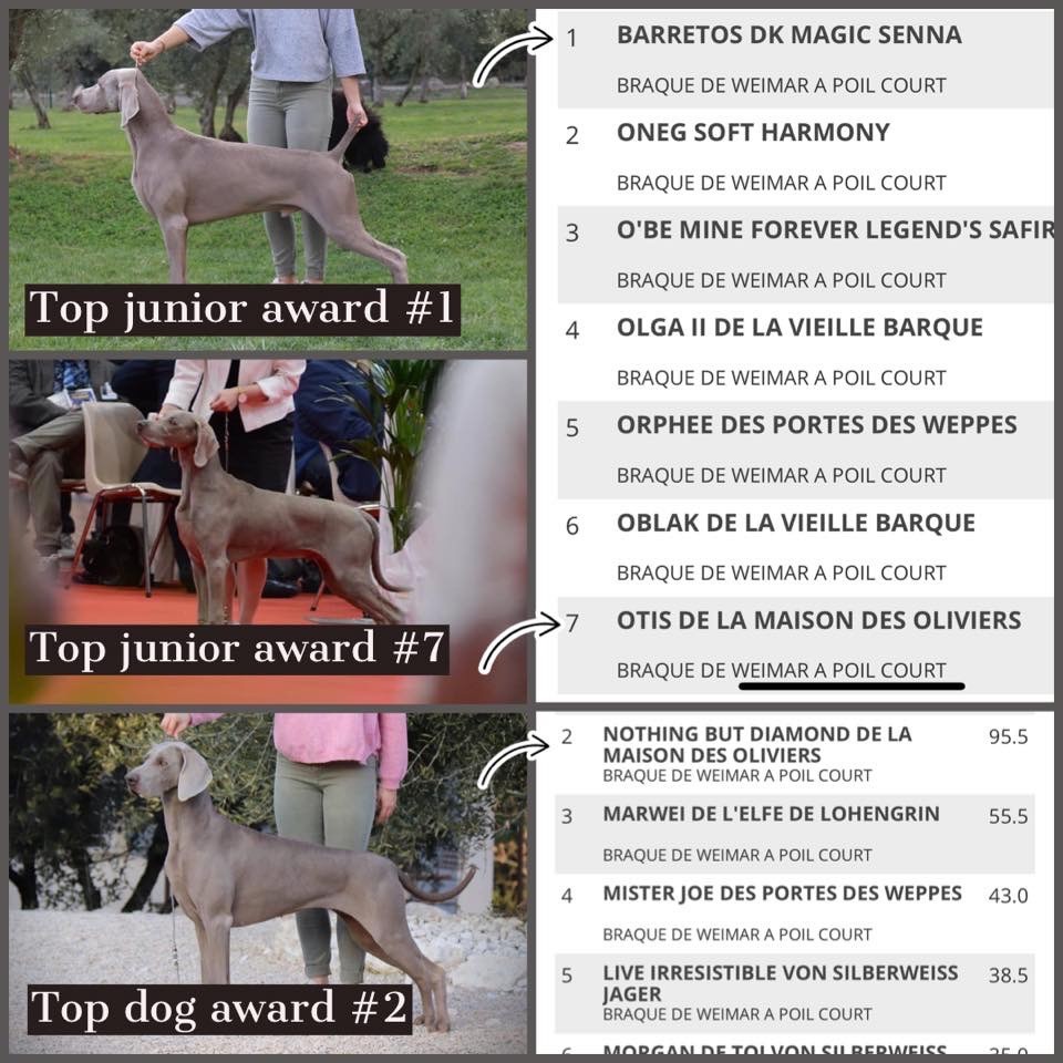 De La maison Des Oliviers - Nos résultats 2019