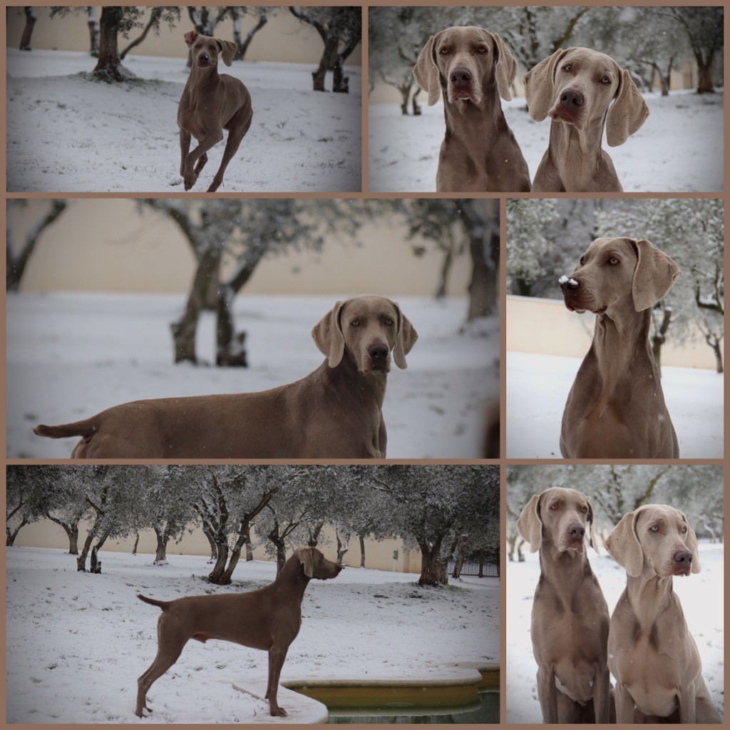 Dimanche sous la neige 